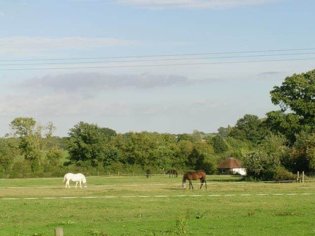 Surrounding area | Egmont Farm - The Hayloft, Northiam, nr. Rye