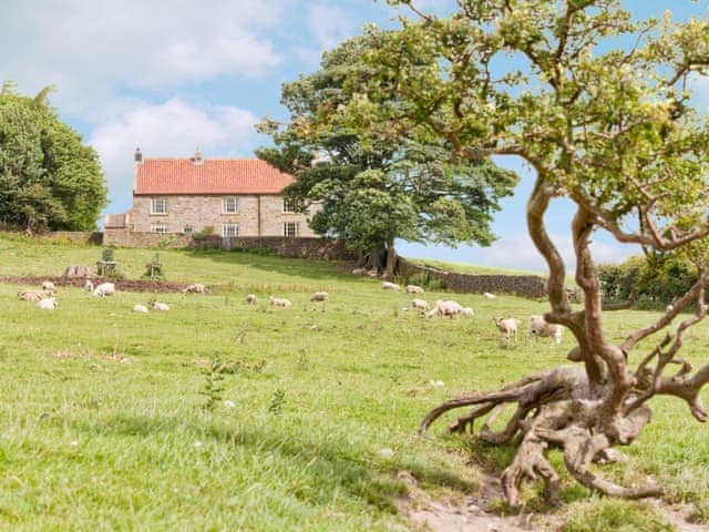 Warren Farmhouse, sleeps 10 in Danby.