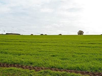 View | Church Farm Cottages - Holy Boys, Southacre