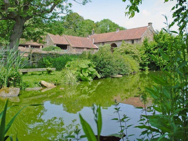 Pond | Red House Farm Cottages - The Hayloft, Glaisdale, nr. Whitby