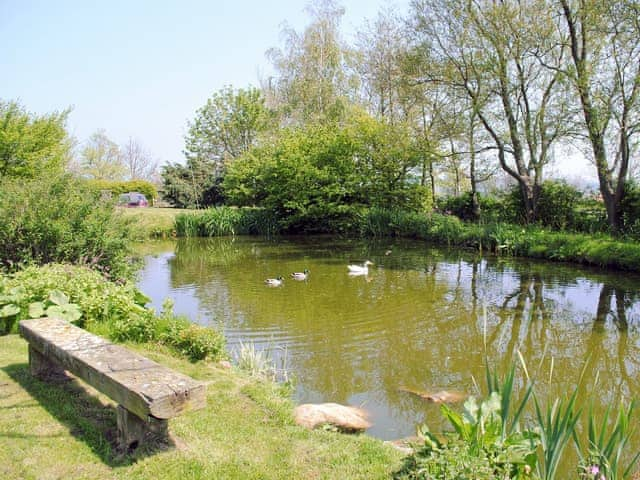 Pond | Red House Farm Cottages - The Hayloft, Glaisdale, nr. Whitby