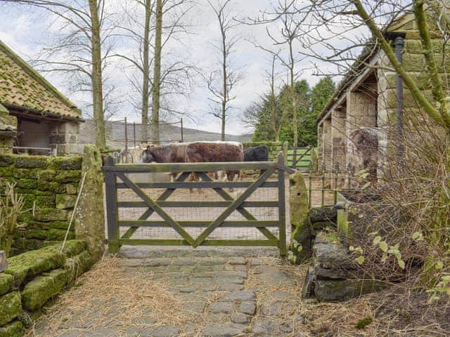 Around the farmyard | The Hayloft - Red House Farm Cottages, Glaisdale, near Whitby