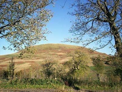 Whitelee Farm - Birch Cottage, Byrness Village, nr. Otterburn