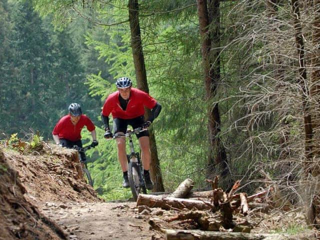 Cycling in Dalby Forest | Hungate Cottages - Saltersgate, Pickering