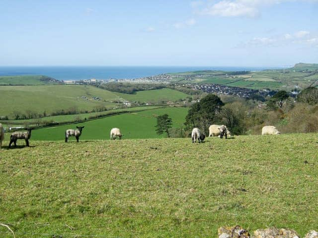 View from hill behind property | Woodbrook Cottage, Bothenhampton, nr. Bridport