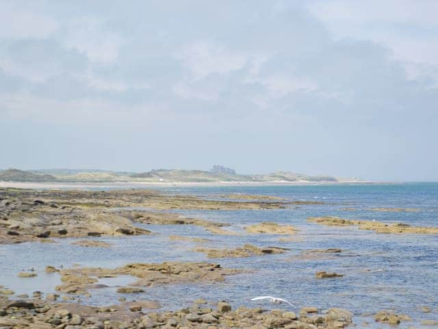 The coast at Seahouses