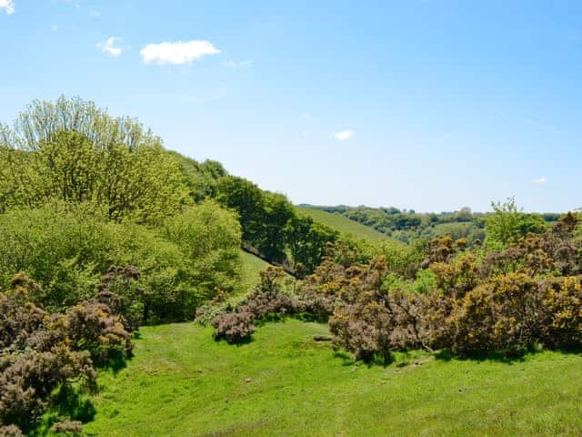 Surrounding area | Ash Lodge, Clatworthy