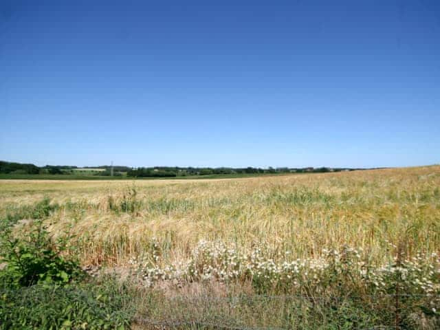 View | Sally?s Nest, Wenhaston, nr. Southwold