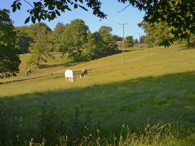 View | Ladwood Farm - The Old Barn, Acrise, nr. Folkestone