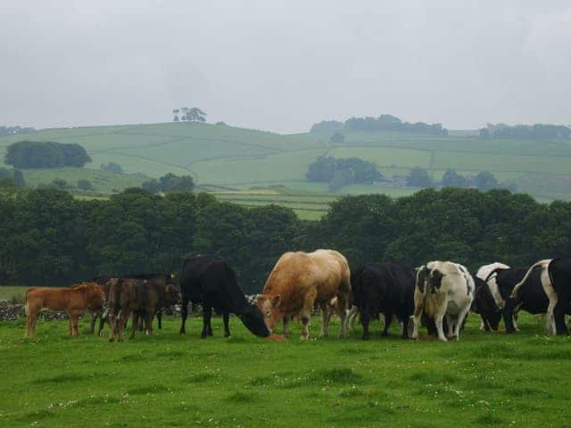 Dawn Cottage, Cold Eaton, Alsop-en-le-Dale