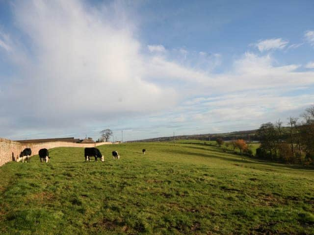 Gainslawhill Cottage, Paxton near Berwick upon Tweed