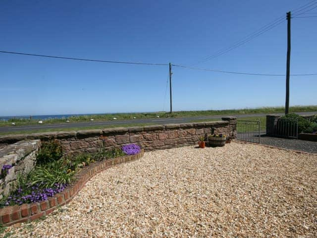 Dunlin, Beadnell