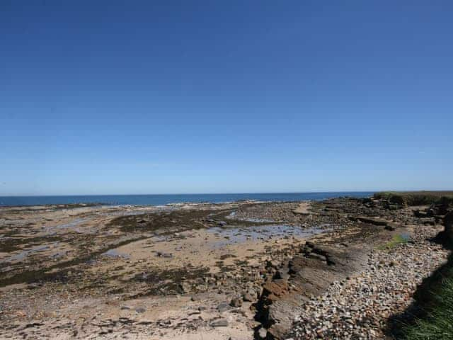 Dunlin, Beadnell