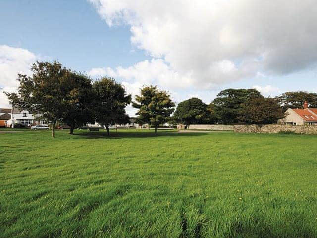 Bickertons Field, Newton by the Sea