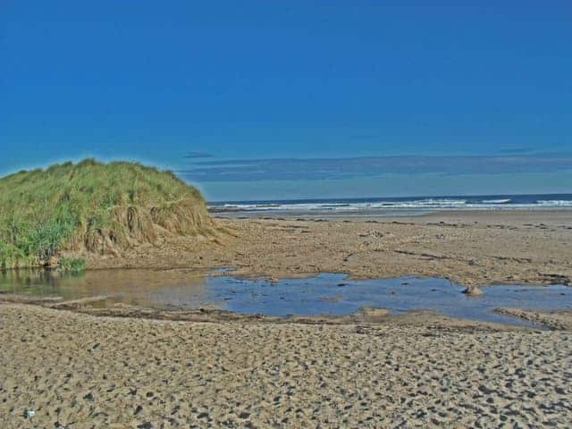 Cloverfield, Bamburgh