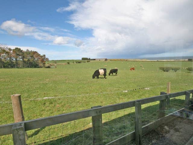 Brackenrigg, Embleton near Craster