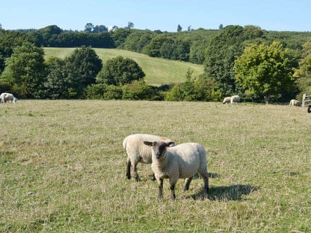 Surrounding area | Combe Hill Farm - The Byre, Ninfield, nr. Battle