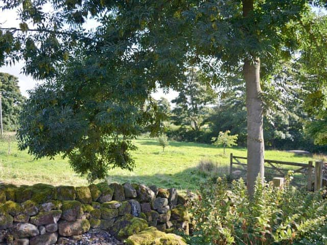 View | The Bothy, Laverton, nr. Ripon