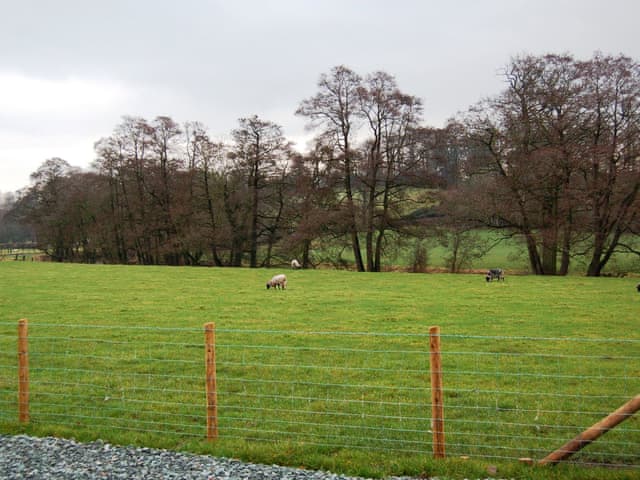 Lovely surrounding area | The Bird Bath, Wreay near Carlisle