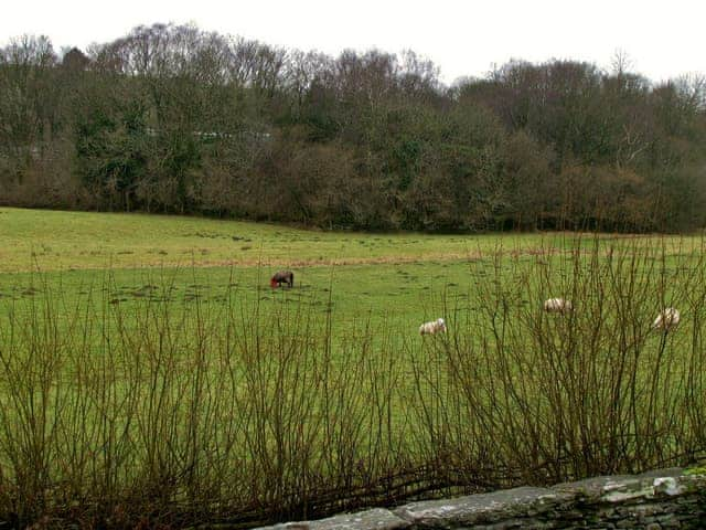 Burnthwaite Cottage, Ings