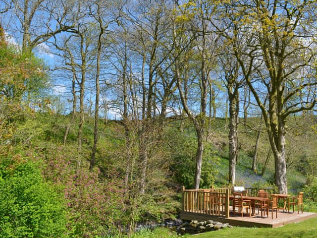 Delightful shared decking area with surrounding woodland | Lily Cottage, Kendal