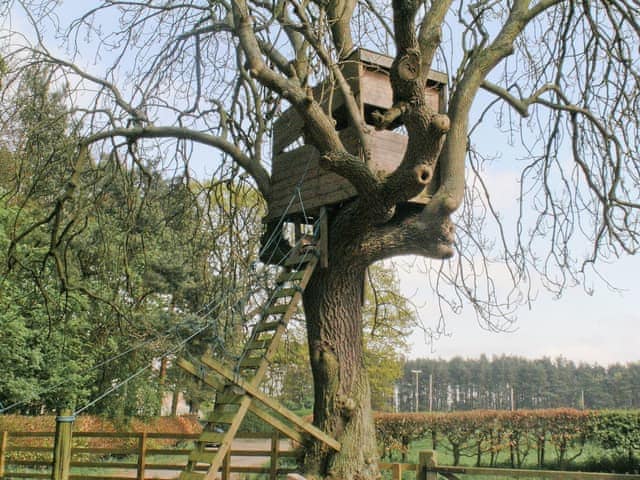 Tree House | Old Horton Grange and The Bothy House - The Bothy House, Ponteland, Newcastle-upon-Tyne