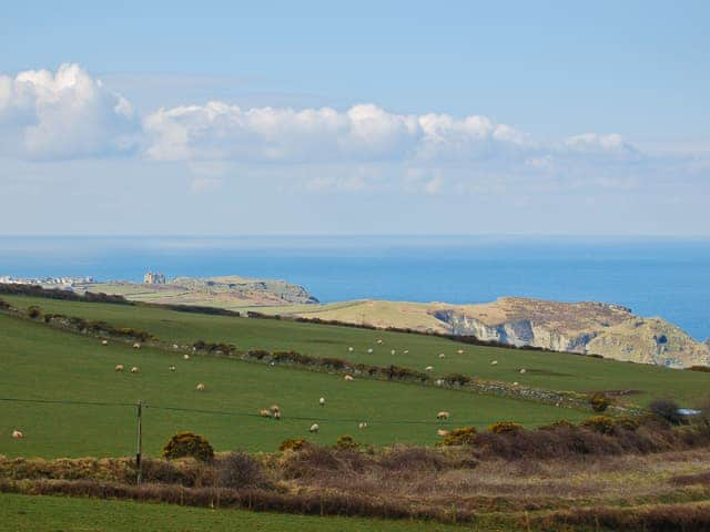 Tintagel | Tintagel, Cornwall