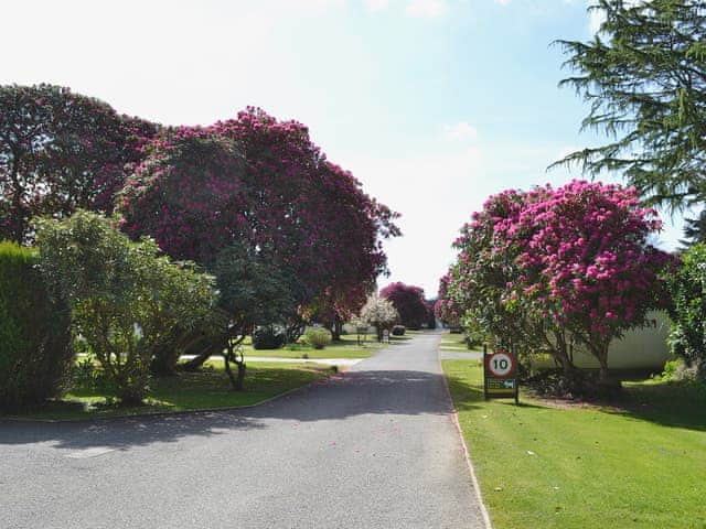 Rosecraddoc Holiday Village | Rosecraddoc Holiday Vi, Liskeard