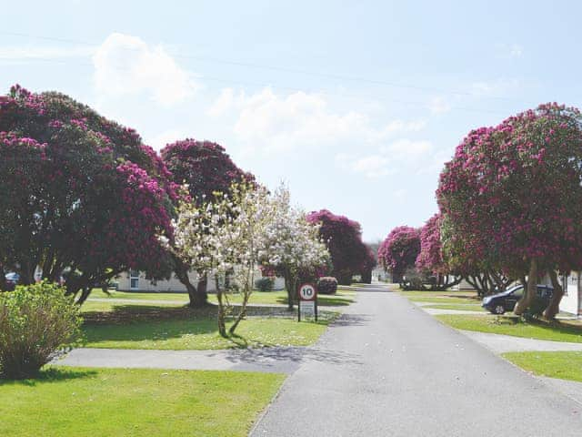 Rosecraddoc Holiday Village | Rosecraddoc Holiday Vi, Liskeard