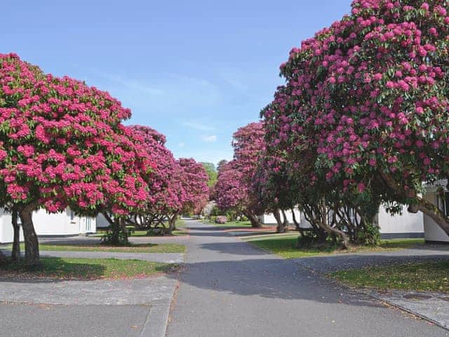 Rosecraddoc Holiday Village | Rosecraddoc Holiday Village - Tresco, Liskeard