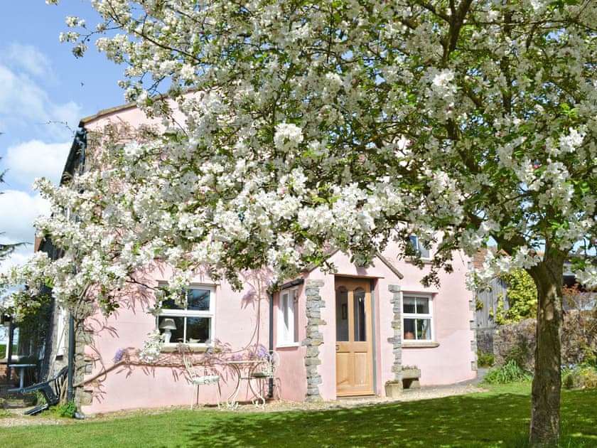 The Cottage