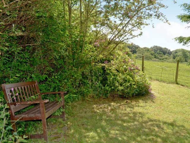 Garden | Triscombe Farm Country Cottages - Whortleberry Cottage, Wheddon Cross, Exmoor