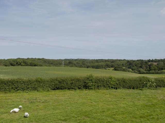 View | Saunders Oast Barn, Guestling, nr. Hastings