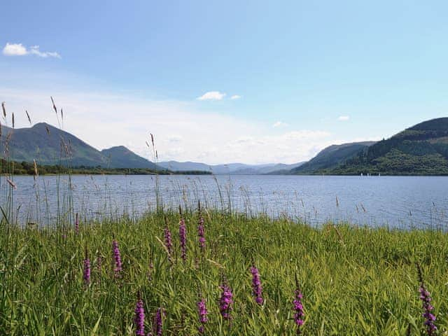 Bassenthwaite | Cumbria, England