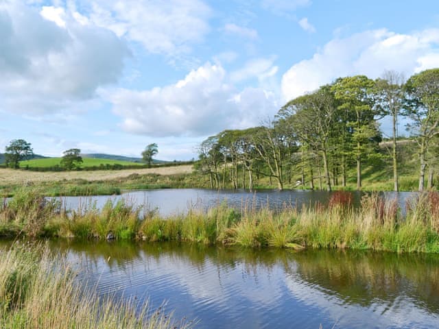 Surrounding area | The Den, Selside near Kendal