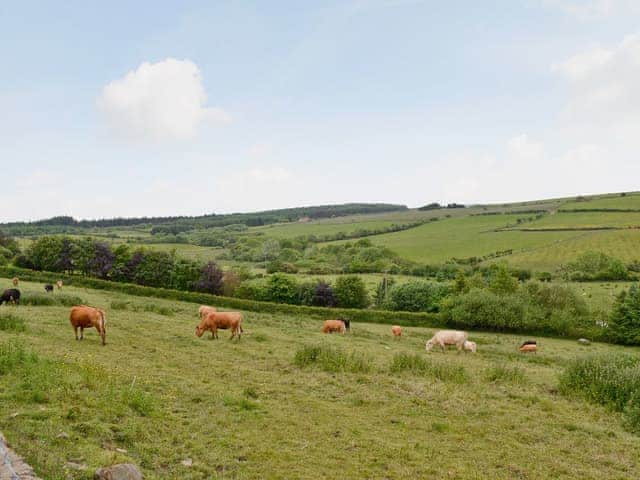 View | Wayside Farm Cottages - Cart Cottage, Cloughton, nr. Scarborough