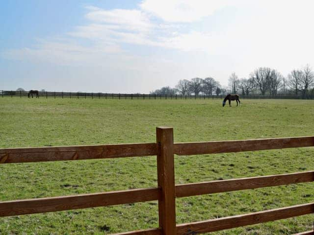 View | Groom&rsquo;s Cottage, Dunstall Cross, nr. Barton-under-Needwood