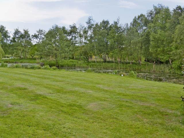 View | Ringlet, Nr. Stalham