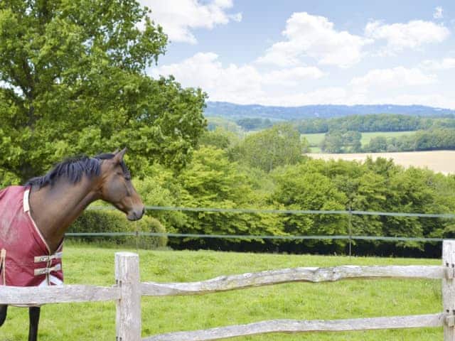 Surrounding area | The Peacock Barn, Burwash