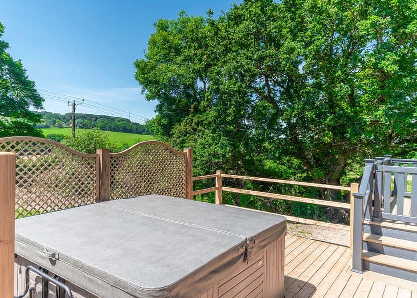 Typical hot tub | Symphony 3 VIP Pet - Andrewshayes Orchard Retreat, Axminster