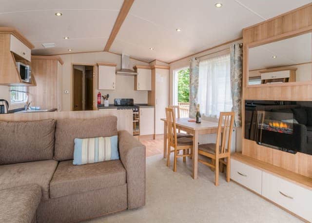 Beech 3 VIP - Andrewshayes Holiday Park, Axminster