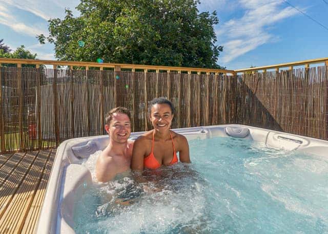Beech 2 VIP - Andrewshayes Holiday Park, Axminster