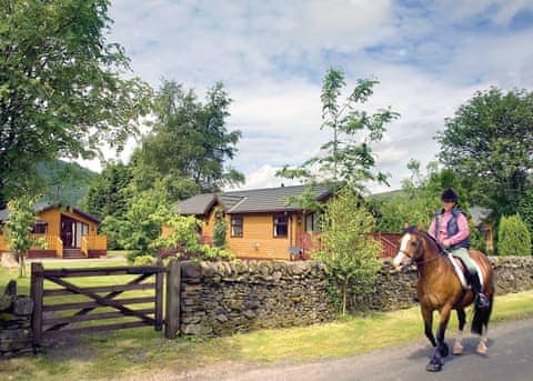 Angecroft Park, Ettrick Valley, Nr Hawick