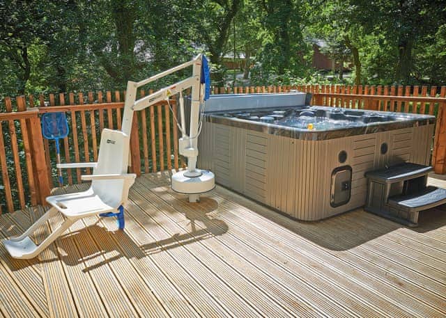 Typical | Silver Birch 2 WF (Pet) - Beddgelert Snowdonia, Beddgelert, Gwynedd