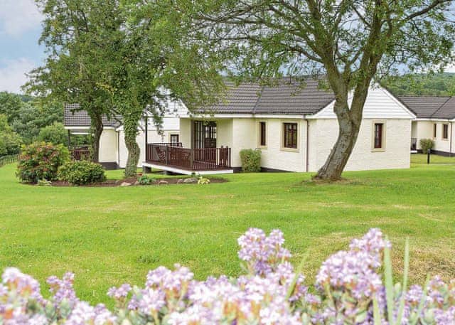 Bargany Pet - Brunston, Girvan, Ayrshire