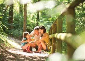 The park setting | Castle Brake Holiday Park, Woodbury