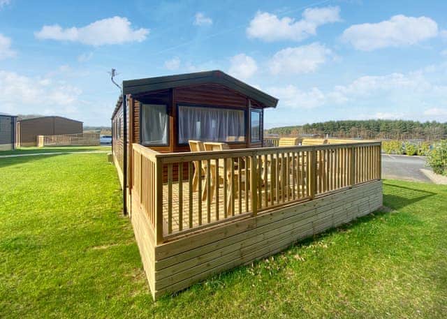 Lime WF - Clumber Park, Sherwood Forest, Worksop