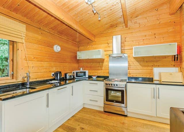 Typical Bulrush Lakeview (Pet) | Dacre Lakeside Park, Brandesburton, Driffield