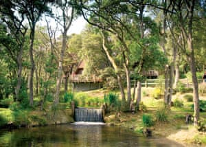The park setting