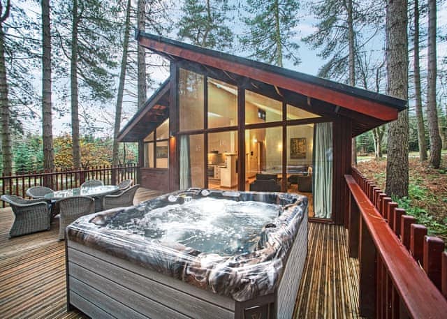 Silver Birch 2 Pet - Delamere Forest Lodges, Frodsham